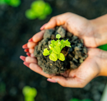 Инженерные биологические системы: междисциплинарное образование в школах - fgospostavki.ru - Тихорецк