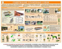 Комплект плакатов "Кинология" - fgospostavki.ru - Тихорецк