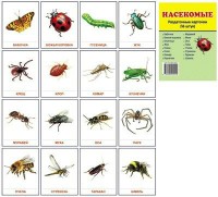 Раздаточные карточки "Насекомые" - fgospostavki.ru - Тихорецк