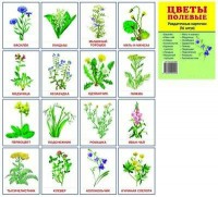 Раздаточные карточки "Цветы полевые" - fgospostavki.ru - Тихорецк
