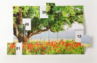 Магнитная таблица умножения "Поле" - fgospostavki.ru - Тихорецк