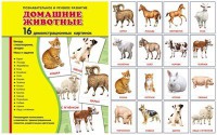 Демонстрационные карточки "Домашние животные" - fgospostavki.ru - Тихорецк