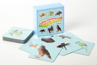 Набор магнитных карточек "Устный счет" (фон голубой) - fgospostavki.ru - Тихорецк