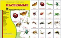 Демонстрационные карточки "Насекомые" - fgospostavki.ru - Тихорецк