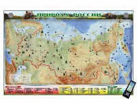 Электронно-информационный (маркерный) стенд "Природа России" адаптивный, с сенсорным пультом управления и планшетом со шрифтом Брайля - fgospostavki.ru - Тихорецк