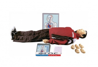 "Максим III-01" тренажер сердечно-легочной и мозговой реанимации - fgospostavki.ru - Тихорецк