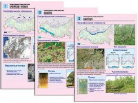 Комплект таблиц по географии "Природные зоны России" раздаточные (цветные, ламинированные, А4, 10 штук) - fgospostavki.ru - Тихорецк