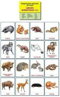 Раздаточные карточки "Дикие животные (1)" - fgospostavki.ru - Тихорецк