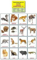 Раздаточные карточки "Дикие животные (2)" - fgospostavki.ru - Тихорецк