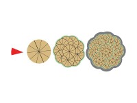 Магнитная математика Наталии Пятибратовой (Числовые фигуры) - fgospostavki.ru - Тихорецк