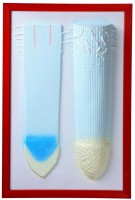 Барельефная модель "Клеточное строение корня" - fgospostavki.ru - Тихорецк