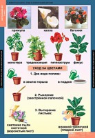 Комплект таблиц. Окружающий мир 1 класс. - fgospostavki.ru - Тихорецк