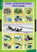 Комплект таблиц. Окружающий мир 4 класс. - fgospostavki.ru - Тихорецк