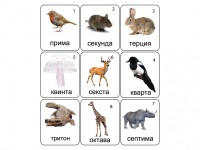 Набор магнитных карточек по музыке "Животные" (9 штук) - fgospostavki.ru - Тихорецк