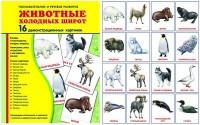 Демонстрационные карточки "Животные холодных широт" - fgospostavki.ru - Тихорецк