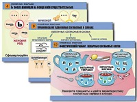 Комплект таблиц "Русский язык. Орфография" (14 таблиц, формат А1, ламинированные) - fgospostavki.ru - Тихорецк