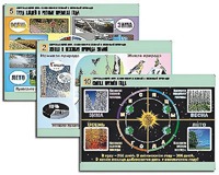 Комплект таблиц "Окружающий мир. Изменения в живой и неживой природе" (10 таблиц, А1, ламинированные) - fgospostavki.ru - Тихорецк