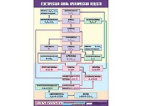 Таблица демонстрационная "Генетическая связь органических веществ" (винил 100x140) - fgospostavki.ru - Тихорецк