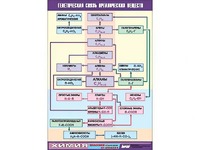 Таблица демонстрационная "Генетическая связь органических веществ" (винил 70x100) - fgospostavki.ru - Тихорецк