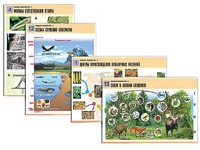 Комплект таблиц по биологии демонстрационных "Общая биология 2" (14 таблиц, формат А1, ламинированные) - fgospostavki.ru - Тихорецк