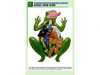 Рельефная таблица "Внутреннее строение лягушки" (формат А1, матовое ламинирование) - fgospostavki.ru - Тихорецк