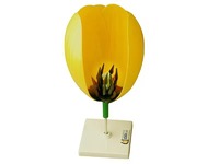 Модель цветка тюльпана - fgospostavki.ru - Тихорецк