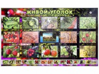 Комплект оборудования "Живой уголок" (растения) с тифлопереводом и сурдокомментариями - fgospostavki.ru - Тихорецк