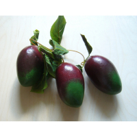 Ветка муляжей "Манго" - fgospostavki.ru - Тихорецк