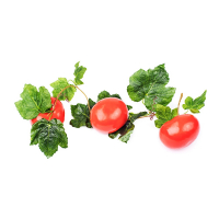 Ветка муляжей "Помидоры" - fgospostavki.ru - Тихорецк