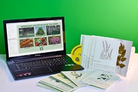 Гербарий натурально-интерактивный "Лекарственные растения" - fgospostavki.ru - Тихорецк