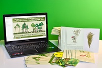 Гербарий натурально-интерактивный "Растительные сообщества. Лес" - fgospostavki.ru - Тихорецк