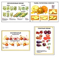 Плакаты ПРОФТЕХ "Ассортимент овощных культур" (12 пл, винил, 70х100) - fgospostavki.ru - Тихорецк
