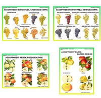 Плакаты ПРОФТЕХ "Ассортимент плодово-ягодных культур" (19 пл, винил, 70х100) - fgospostavki.ru - Тихорецк