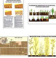 Плакаты ПРОФТЕХ "Агрономия" (5 пл, винил, 70х100) - fgospostavki.ru - Тихорецк