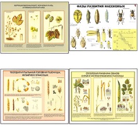 Плакаты ПРОФТЕХ "Вредители и болезни с/х культур и меры борьбы с ними" (11 пл, винил, 70х100) - fgospostavki.ru - Тихорецк