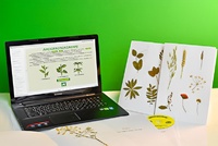 Гербарий натурально-интерактивный "Морфология растений" - fgospostavki.ru - Тихорецк