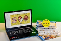 Коллекция натурально-интерактивная "Раковины моллюсков" - fgospostavki.ru - Тихорецк