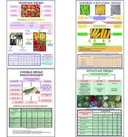 Плакаты ПРОФТЕХ "Классификация овощей" (11 пл, винил, 70х100) - fgospostavki.ru - Тихорецк