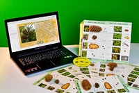 Коллекция натурально-интерактивная "Шишки, плоды, семена деревьев и кустарников" - fgospostavki.ru - Тихорецк