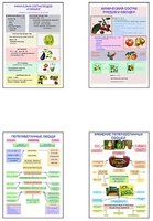 Плакаты ПРОФТЕХ "Классификация овощей и переработка" (8 пл, винил, 70х100) - fgospostavki.ru - Тихорецк