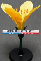 Модель "Цветок капусты" - fgospostavki.ru - Тихорецк