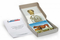 Модель-аппликация "Цикл развития бычьего цепня" (набор из 7 карт) - fgospostavki.ru - Тихорецк