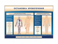 Электрифицированный стенд-тренажер "Остановка кровотечения" - fgospostavki.ru - Тихорецк
