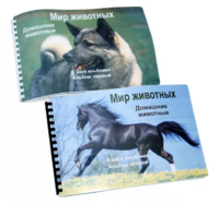 Пособие для слабовидящих - Домашние животные - fgospostavki.ru - Тихорецк