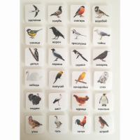 Набор карточек "ПТИЦЫ" - fgospostavki.ru - Тихорецк