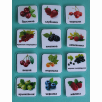 Набор карточек "Ягоды" - fgospostavki.ru - Тихорецк