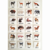 Набор карточек "ЖИВОТНЫЕ" - fgospostavki.ru - Тихорецк