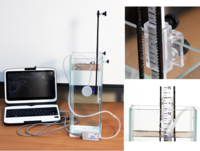 Набор демонстрационный «Гидростатика и плавание тел» - fgospostavki.ru - Тихорецк