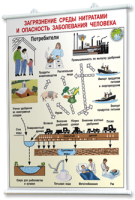 Плакаты по общей экологии для оформления кабинета. - fgospostavki.ru - Тихорецк