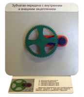 Демонстрационная модель "Зубчатая передача с внутренним и внешним зацеплением" - fgospostavki.ru - Тихорецк